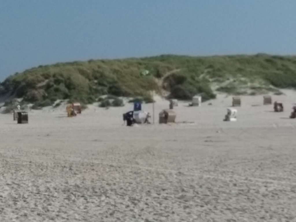 Amrum