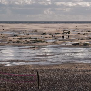 Amrum