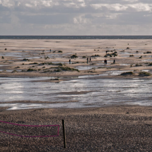 Amrum