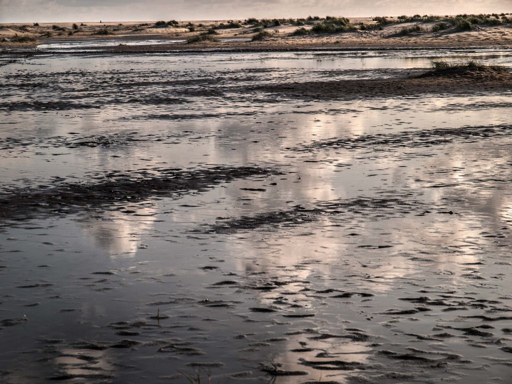 Amrum