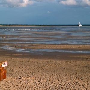Amrum