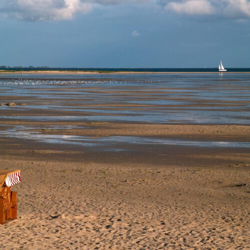 Amrum