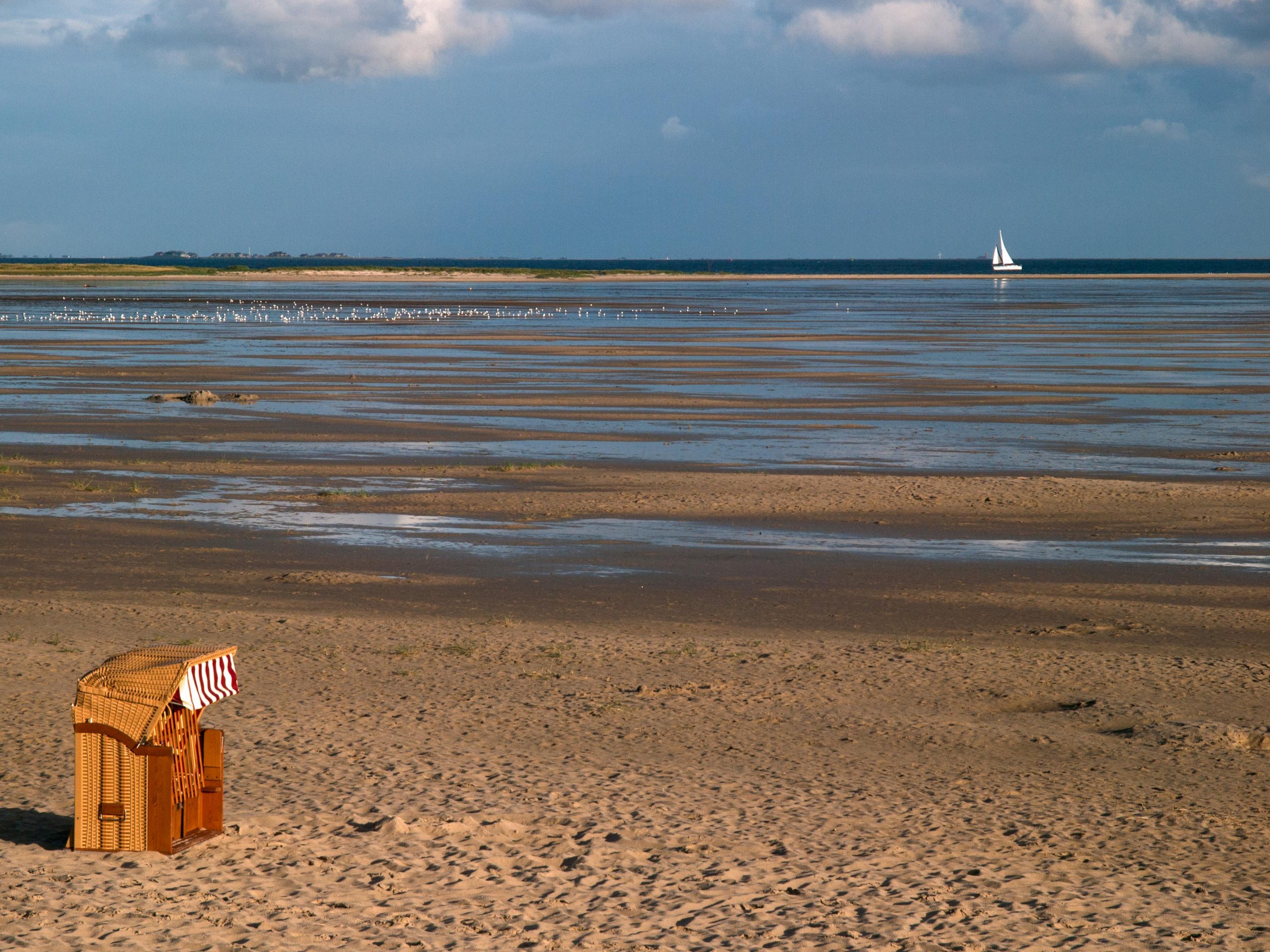 Amrum