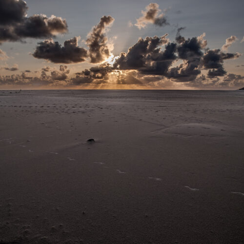 Amrum