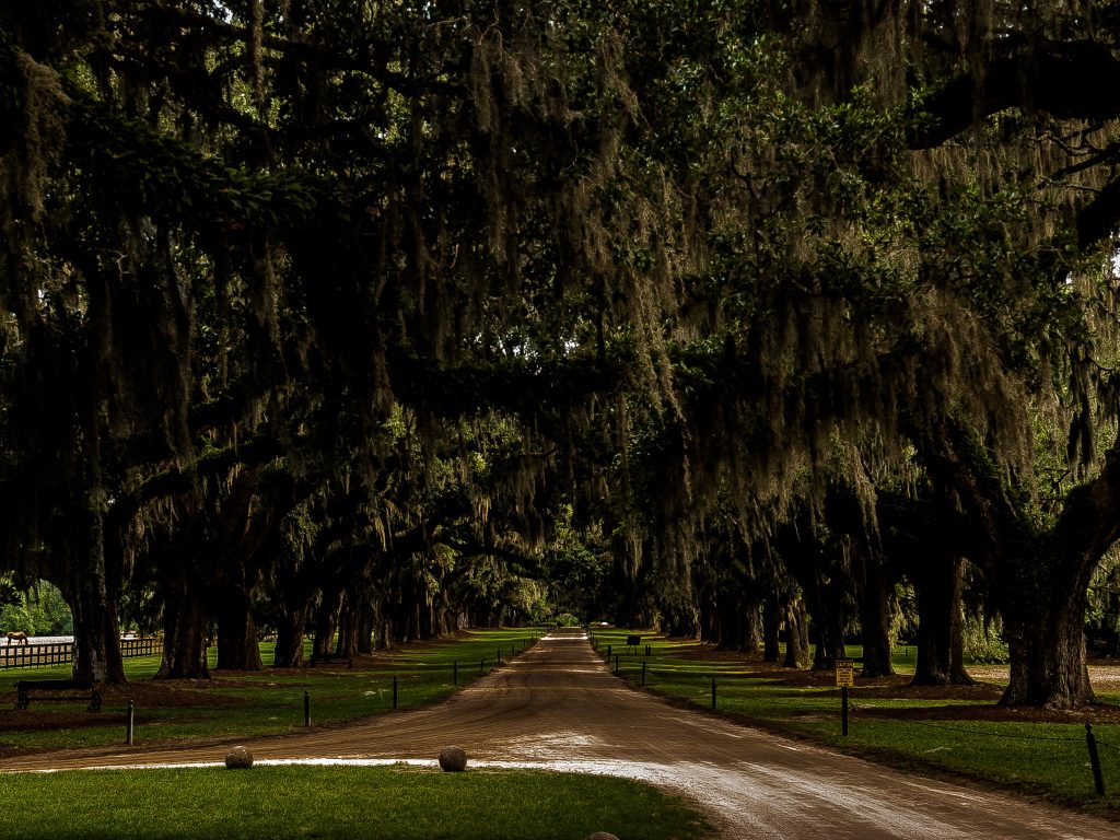 Boone Hall Plantation