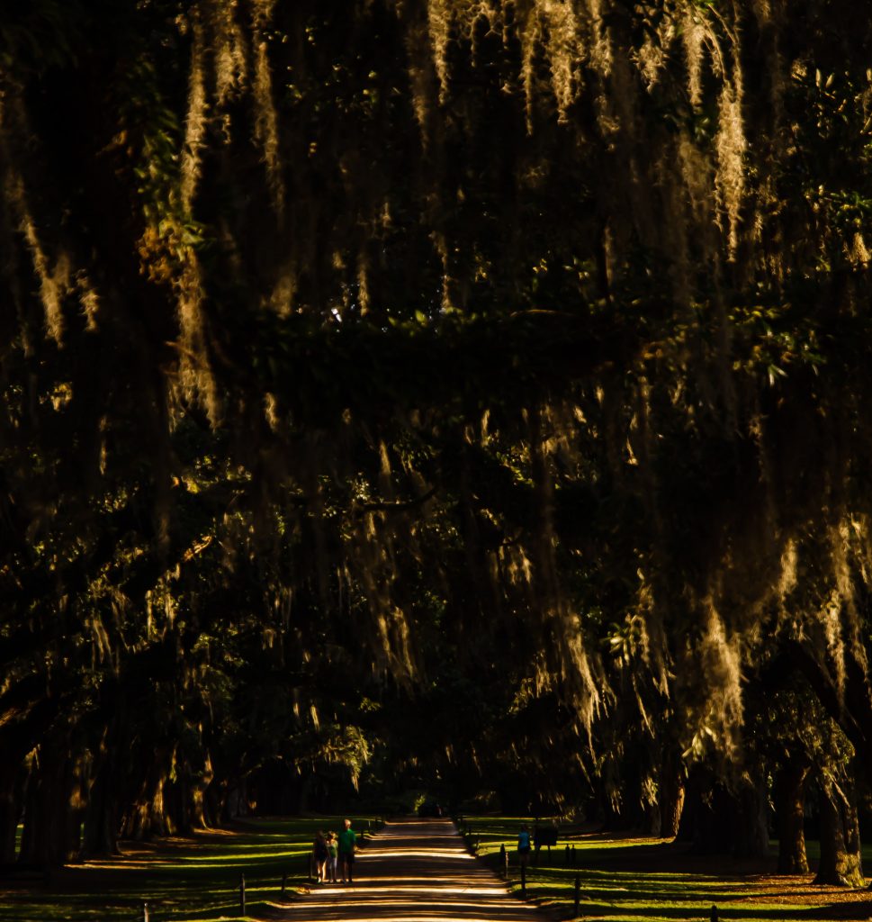 Boone Hall Plantation