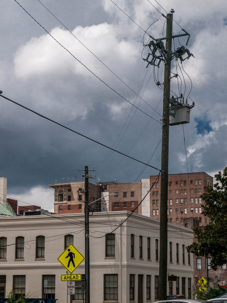 Savannah