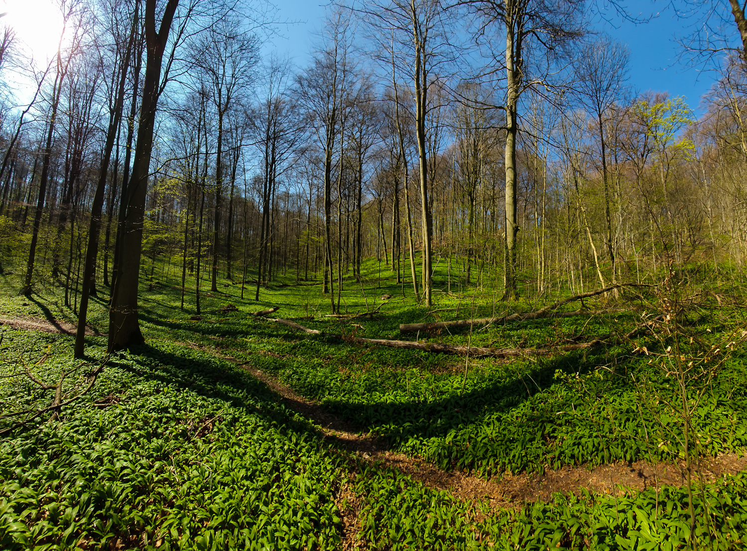 Spring
