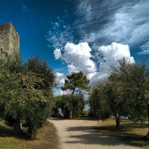 Città di Castello