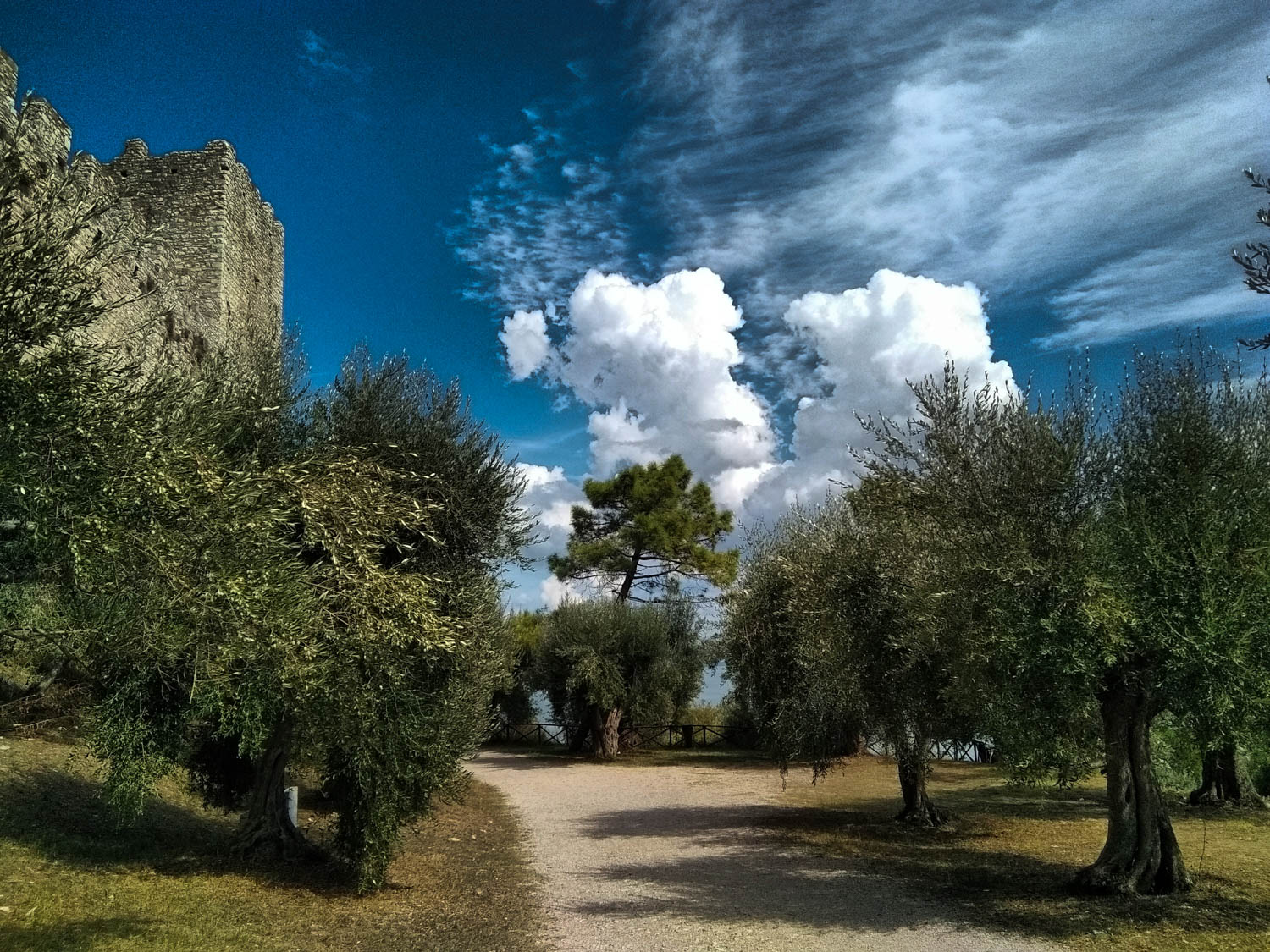 Città di Castello