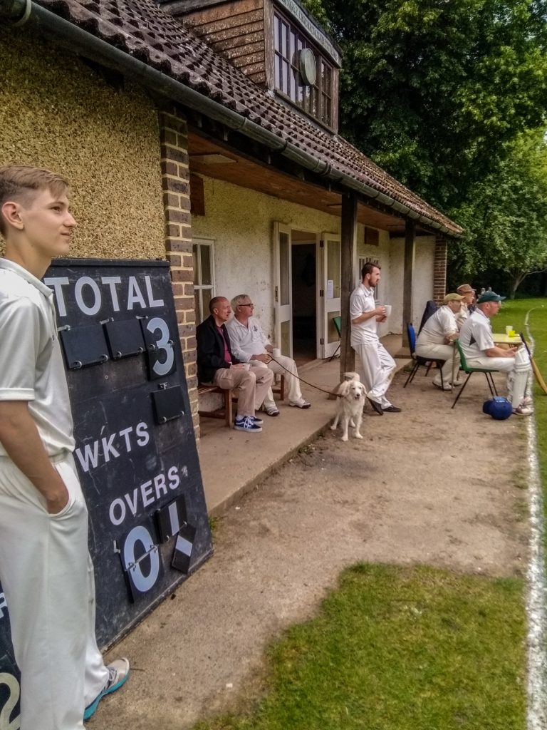 Cricket